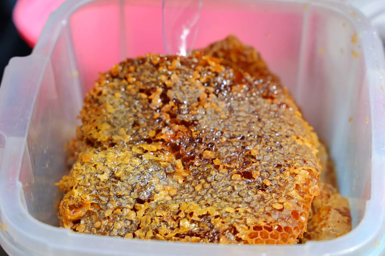 En tatlı yarışma! 1 kilo bal yiyen şampiyon oldu 5